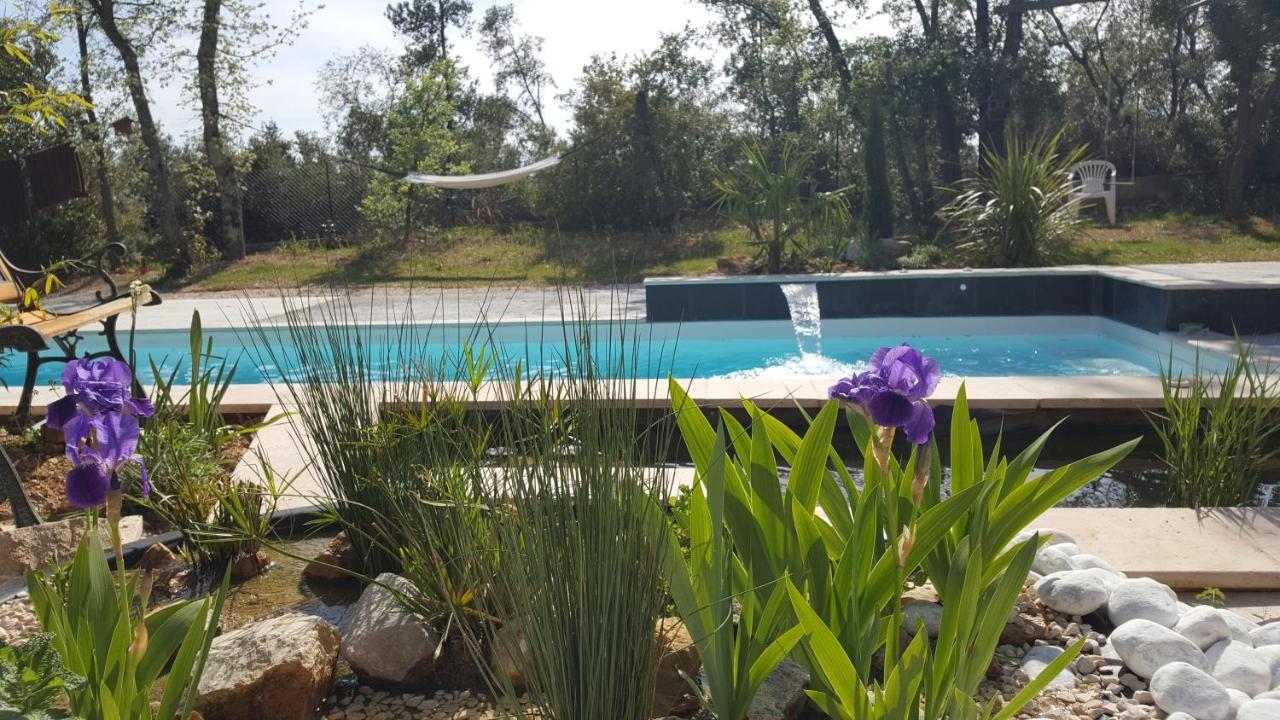 La Villa Provencale Lorgues Exteriér fotografie