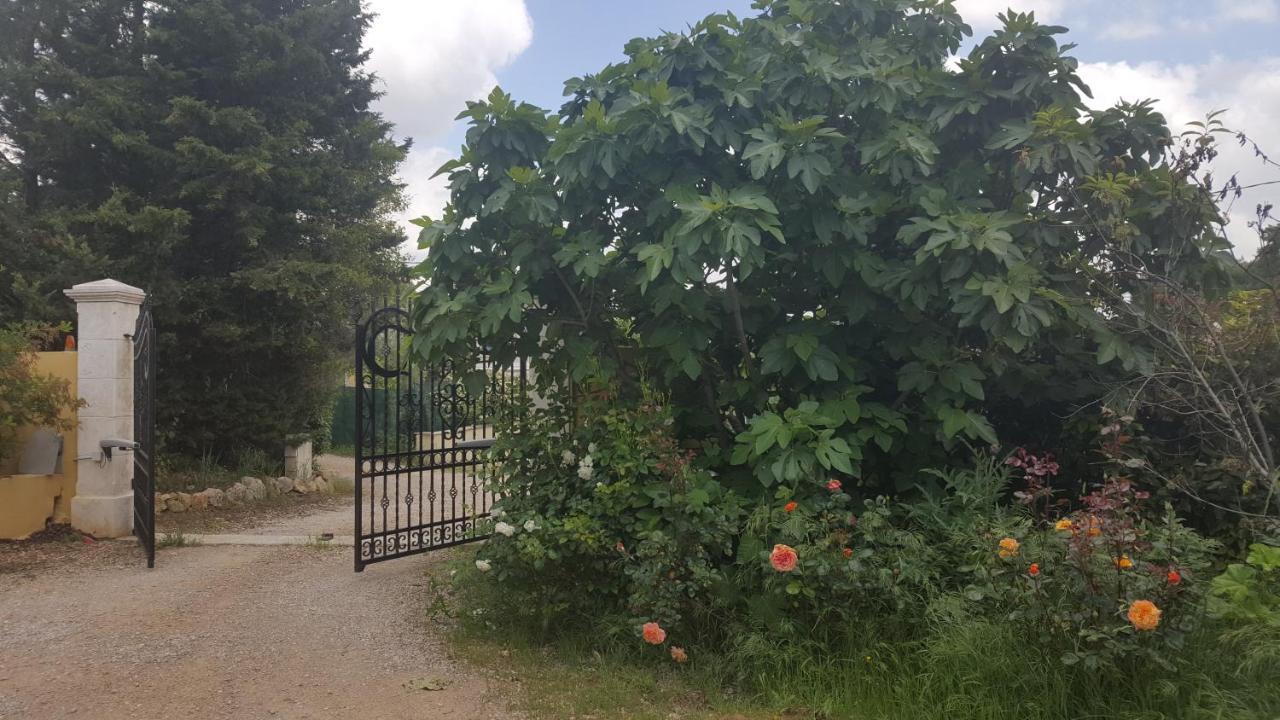 La Villa Provencale Lorgues Exteriér fotografie