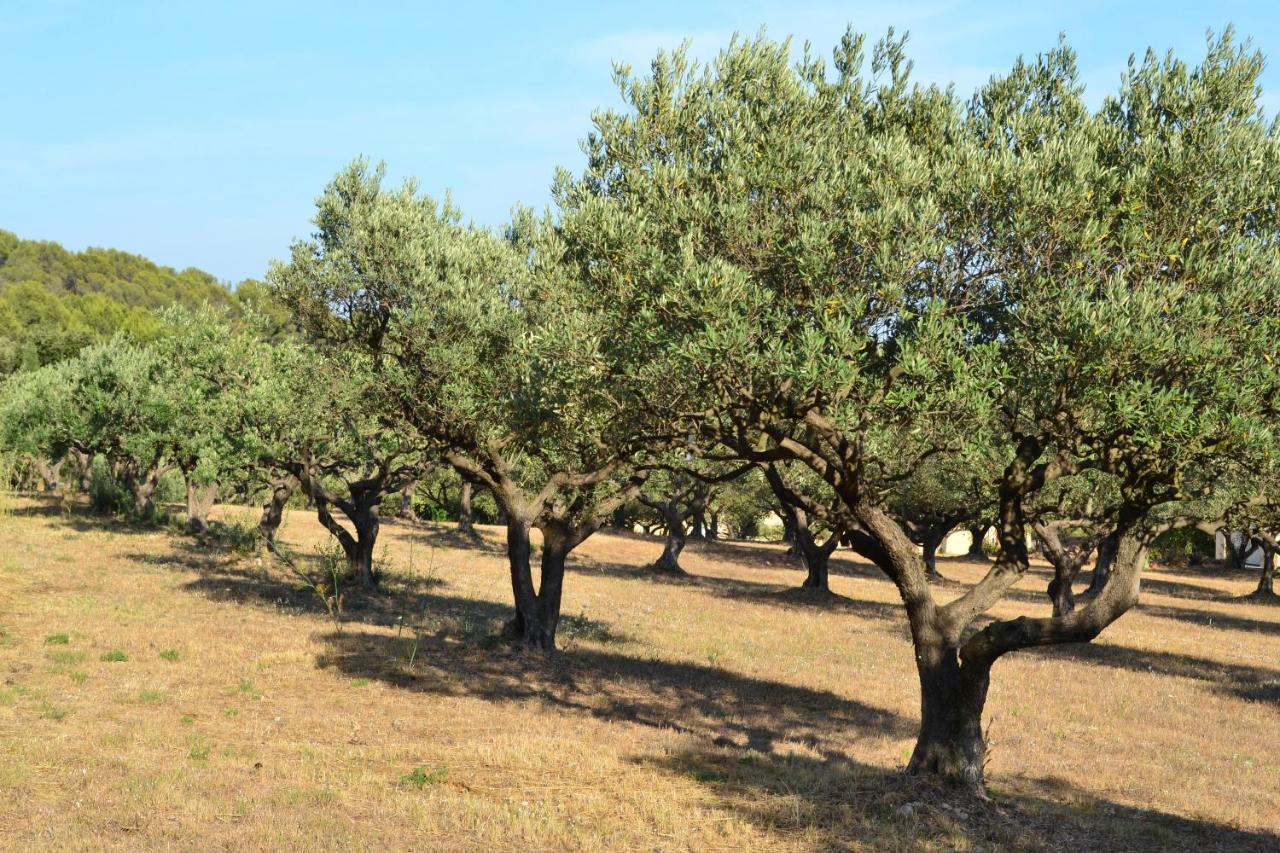 La Villa Provencale Lorgues Exteriér fotografie